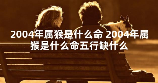 2004年属猴是什么命 2004年属猴是什么命五行缺什么